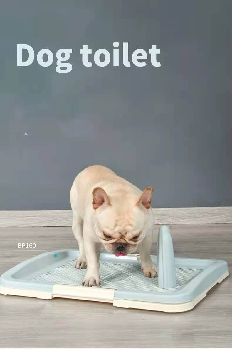 Medium portable dog toilet tray for puppies, affordable and hygienic solution for potty training.