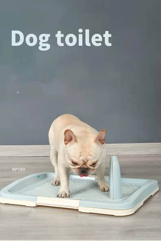 YES4PETS blue portable dog toilet tray with a French Bulldog, perfect for potty training and mess containment.