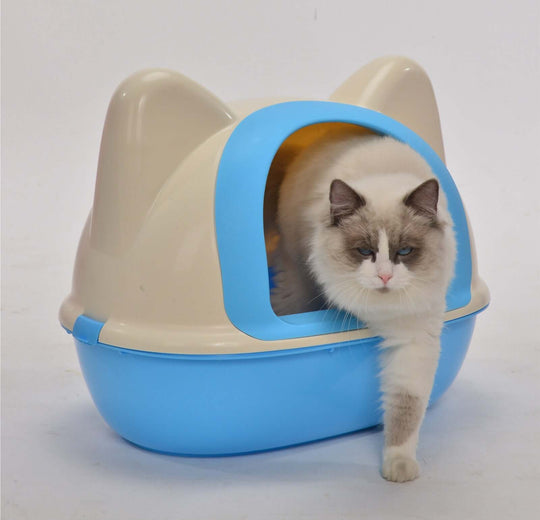 Affordable hooded cat litter box tray in blue with a cat, designed for easy access and privacy, reducing litter scatter.