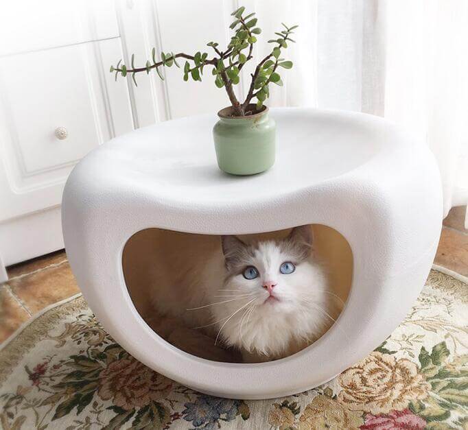 Cozy igloo-style cat bed with a white exterior and a potted plant on top, providing a stylish space for pets.