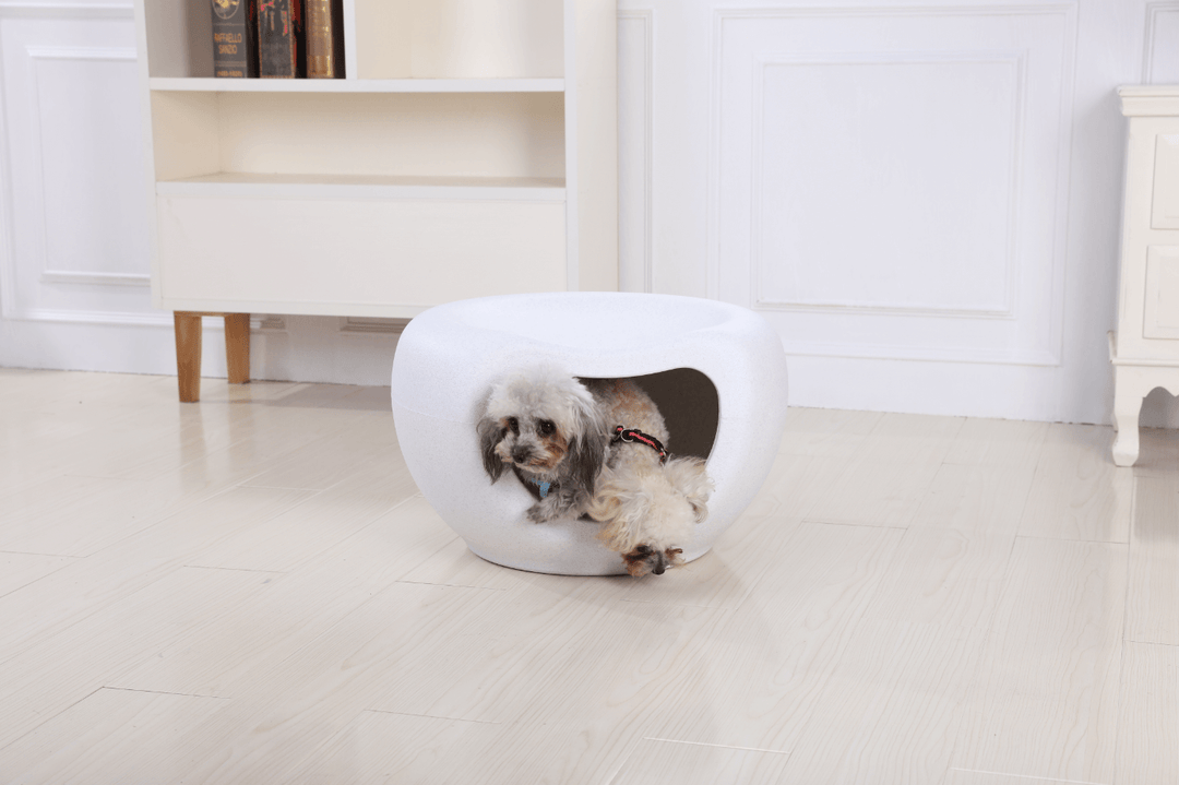 A small dog relaxing inside a white igloo-style pet bed, perfect for keeping pets warm and cozy.