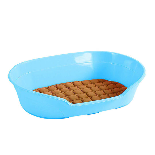 Affordable small blue plastic pet bed with a cozy brown cushion for dogs, easy to clean and durable design.