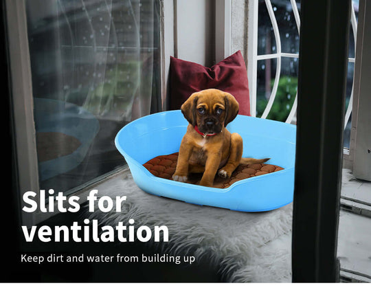 Small blue plastic pet bed with a puppy, featuring ventilation slits to prevent dirt and water buildup.