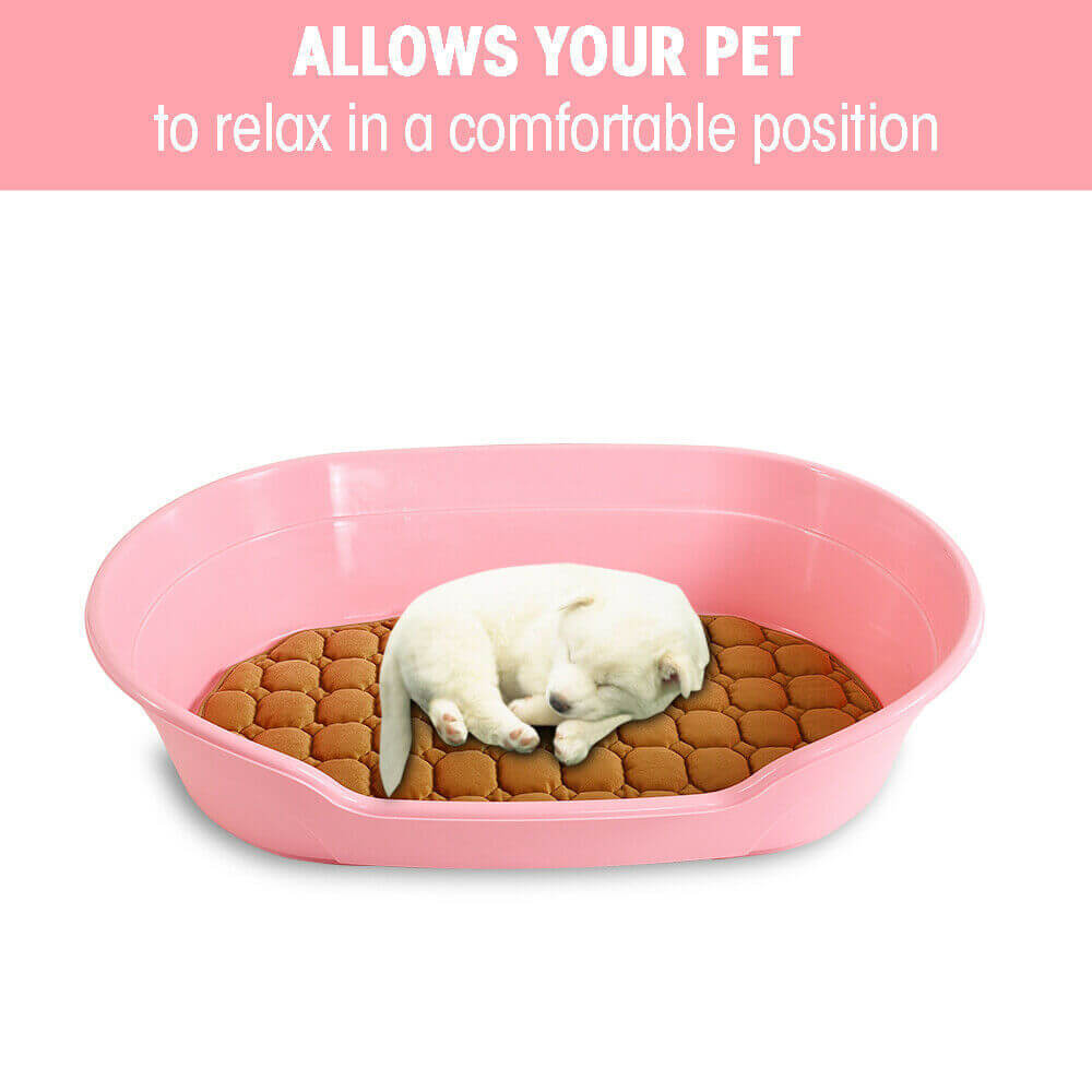 Small pink pet bed with a sleeping puppy, designed for comfort and easy cleaning.