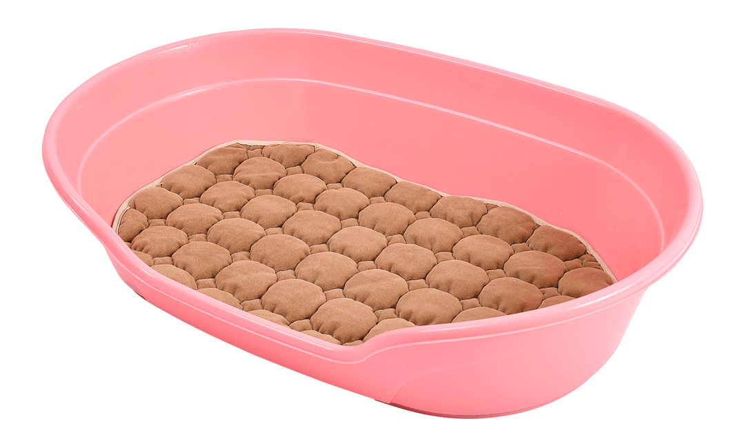 Affordable pink plastic dog bed with a soft cushioned base, ideal for resting and sleeping.