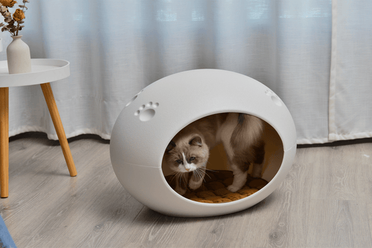 Medium white igloo pet bed with a cat entering, ideal for cozy snuggling and warm hideouts.