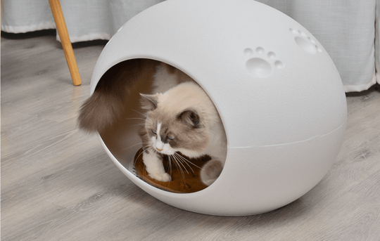 Cozy white igloo-style cat bed for small pets, featuring a cute cat peeking inside, offering warmth and comfort.