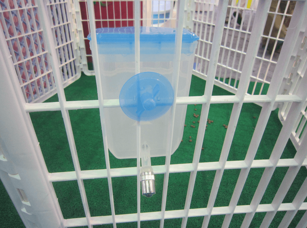 Blue hanging water bottle for small pets, no drip dispenser for rabbits, dogs, and cats in a pet enclosure.