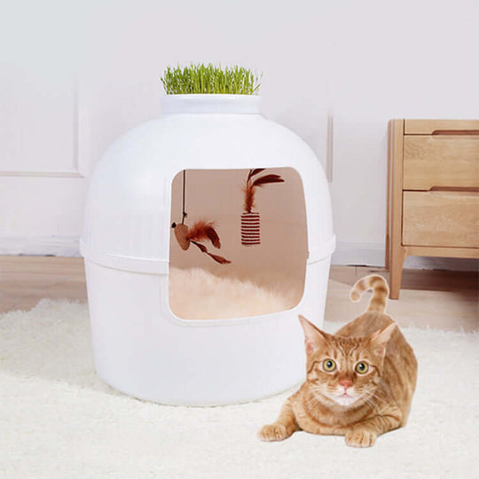 Affordable multifuntional cat litter box with a spacious interior and a playful cat, crafted from quality polypropylene in white.