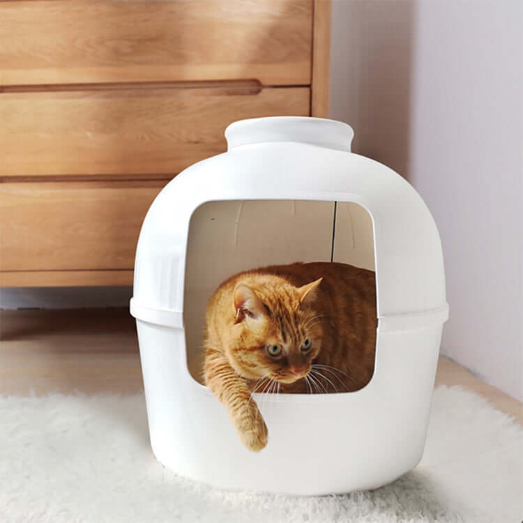 Cat inside YES4PETS multifunctional white litter box, showcasing quality design and affordable pet care solution.