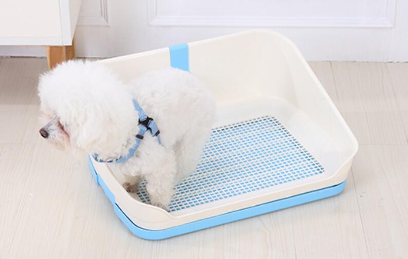 Small fluffy dog using the YES4PETS portable potty training tray in blue and white.