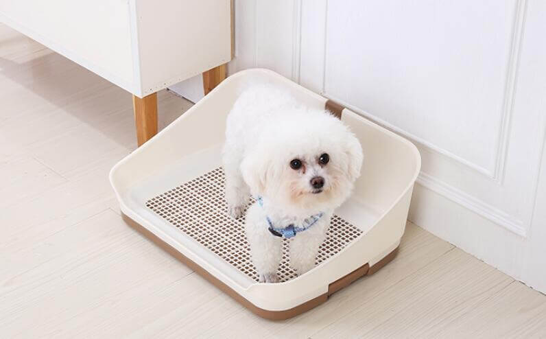 Medium portable dog potty training tray with wall, ideal for dogs, features a hygienic grid layer for mess containment.