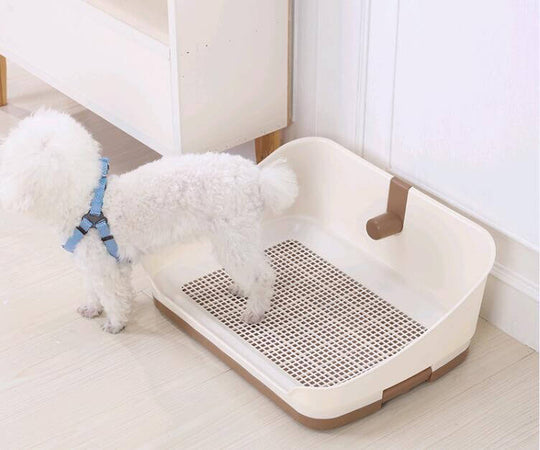 Medium portable dog potty training tray with wall, perfect for hygienic puppy toilet training.