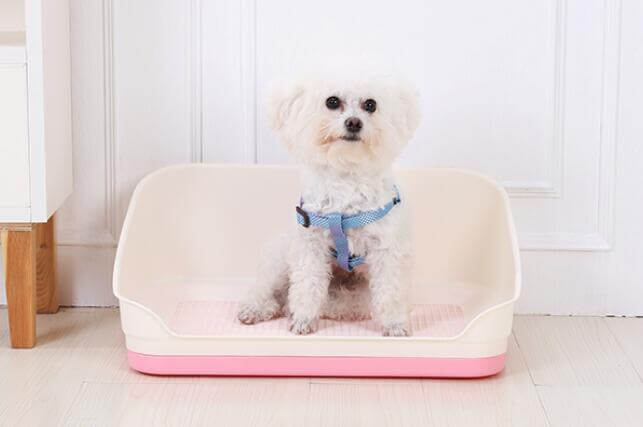 Medium portable dog potty training tray with puppy sitting, pink and cream design, affordable and hygienic.