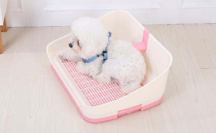 Medium portable dog potty training tray with a small white dog inside, designed for hygiene and convenience.