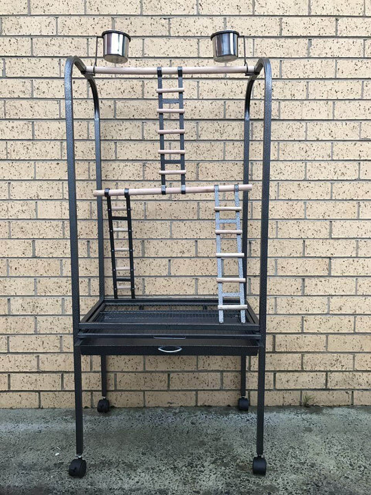 140 CM affordable parrot play stand gym with ladder, featuring durable materials and easy cleaning tray.