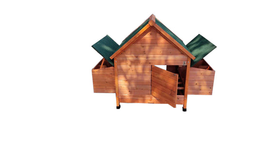 YES4PETS XL Chicken Coop featuring cedar wood, asphalt roof, and dual access for easy cleaning and ventilation.