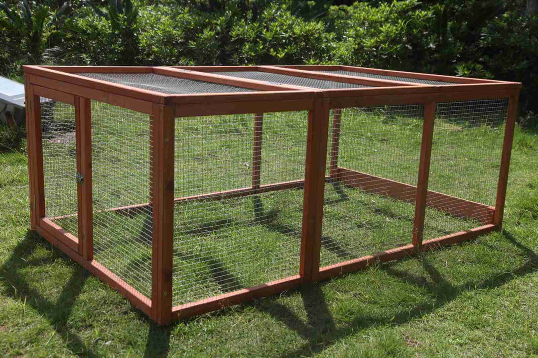 Large outdoor chicken coop run with a sturdy wooden frame and mesh wire for rabbits and guinea pigs.