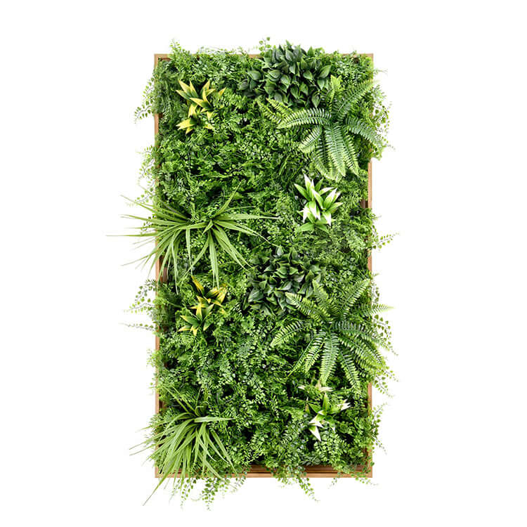 DSZ Product, feed-cond-new, feed-sl-DSZ Freight Payable, newYes4Homes 3D Green Artificial Plants Wall Panel Flower Wall With Frame Vertical Garden Uv Resistant 50 X 100Cm - Premium Home & Garden > Artificial Plants > Artificial Wall Plants from Yes4Homes ! Shop Online Buy Now at S & D's Value Store Family Business Best Customer ServiceDSZ Product, feed-cond-new, feed-sl-DSZ Freight Payable, new