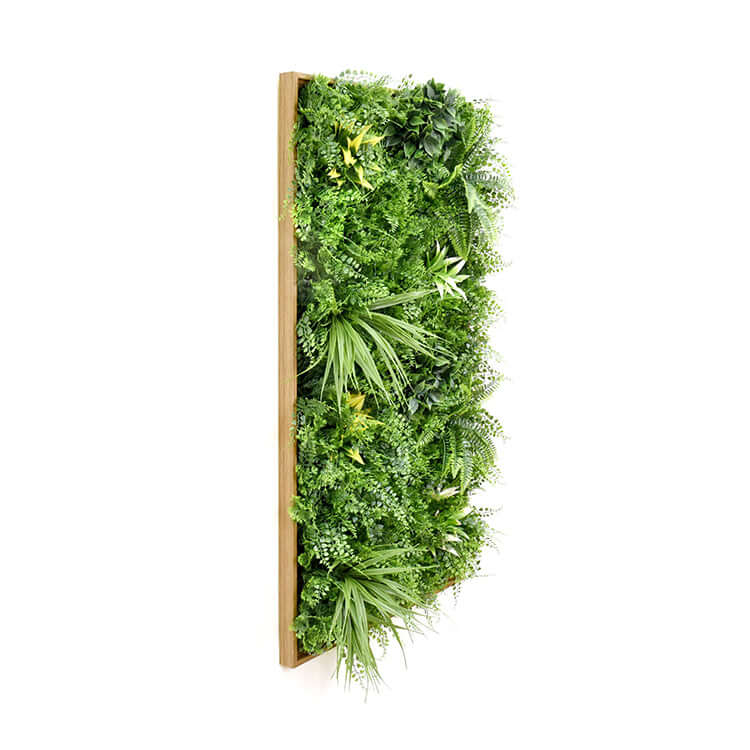 DSZ Product, feed-cond-new, feed-sl-DSZ Freight Payable, newYes4Homes 3D Green Artificial Plants Wall Panel Flower Wall With Frame Vertical Garden Uv Resistant 50 X 100Cm - Premium Home & Garden > Artificial Plants > Artificial Wall Plants from Yes4Homes ! Shop Online Buy Now at S & D's Value Store Family Business Best Customer ServiceDSZ Product, feed-cond-new, feed-sl-DSZ Freight Payable, new