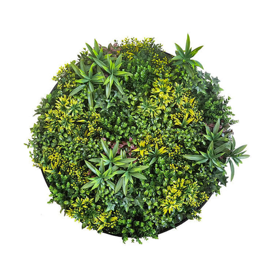 DSZ Product, feed-cond-new, feed-sl-DSZ Freight Payable, newYes4Homes Artificial Green Wall Plant Panel Disc Garden Flower Art 100Cm Grassy Uv Resistant - Fireworks Black Frame - Premium Home & Garden > Artificial Plants > Artificial Wall Plants from Yes4Homes ! Shop Online Buy Now at S & D's Value Store Family Business Best Customer ServiceDSZ Product, feed-cond-new, feed-sl-DSZ Freight Payable, new