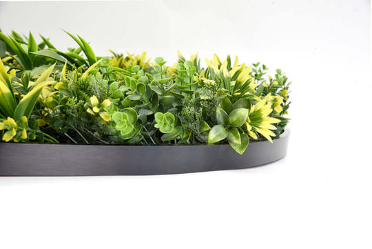 DSZ Product, feed-cond-new, feed-sl-DSZ Freight Payable, newYes4Homes Artificial Green Wall Plant Panel Disc Garden Flower Art 100Cm Grassy Uv Resistant - Fireworks Black Frame - Premium Home & Garden > Artificial Plants > Artificial Wall Plants from Yes4Homes ! Shop Online Buy Now at S & D's Value Store Family Business Best Customer ServiceDSZ Product, feed-cond-new, feed-sl-DSZ Freight Payable, new