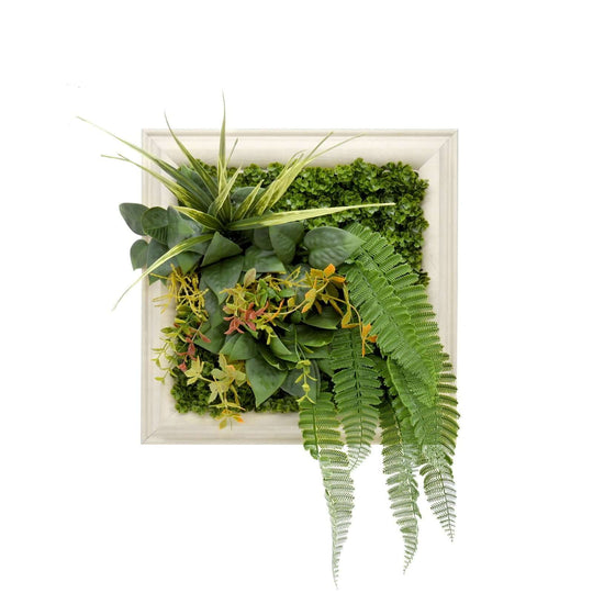 DSZ Product, feed-cond-new, feed-sl-DSZ Freight Payable, newYes4Homes 3D Green Artificial Plants Wall Panel Flower Wall With Frame Vertical Garden Uv Resistant 33 X 33Cm - Premium Home & Garden > Artificial Plants > Artificial Wall Plants from Yes4Homes ! Shop Online Buy Now at S & D's Value Store Family Business Best Customer ServiceDSZ Product, feed-cond-new, feed-sl-DSZ Freight Payable, new