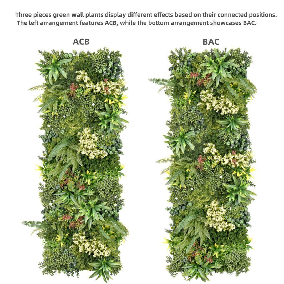 Side-by-side comparison of two green wall plant arrangements showcasing ACB and BAC designs for DIY vertical gardens.