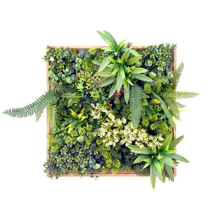 DSZ Product, feed-cond-new, feed-sl-DSZ Freight Payable, newYes4Homes 3D Green Artificial Plants Wall Panel Flower Wall With Frame Vertical Garden Uv Resistant 50 X 50Cm - Premium Home & Garden > Artificial Plants > Artificial Wall Plants from Yes4Homes ! Shop Online Buy Now at S & D's Value Store Family Business Best Customer ServiceDSZ Product, feed-cond-new, feed-sl-DSZ Freight Payable, new