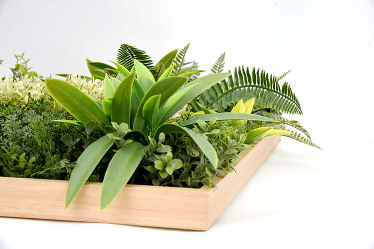 DSZ Product, feed-cond-new, feed-sl-DSZ Freight Payable, newYes4Homes 3D Green Artificial Plants Wall Panel Flower Wall With Frame Vertical Garden Uv Resistant 50 X 50Cm - Premium Home & Garden > Artificial Plants > Artificial Wall Plants from Yes4Homes ! Shop Online Buy Now at S & D's Value Store Family Business Best Customer ServiceDSZ Product, feed-cond-new, feed-sl-DSZ Freight Payable, new