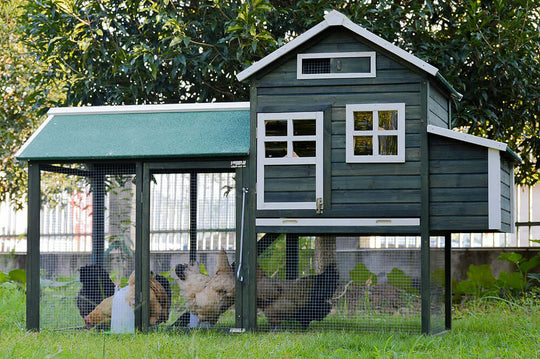 YES4PETS XL Chicken Coop Rabbit Hutch with green roofing and spacious run for chickens, rabbits, and small animals.