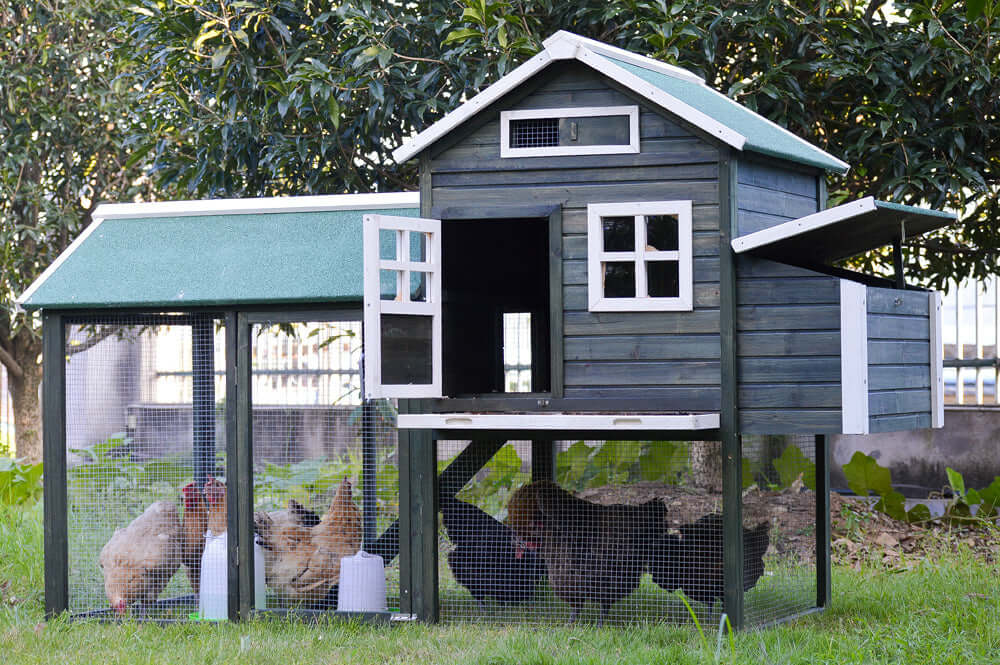 YES4PETS XL Chicken Coop and Rabbit Hutch, suitable for up to 8 chickens, featuring nesting boxes and roosting bars.