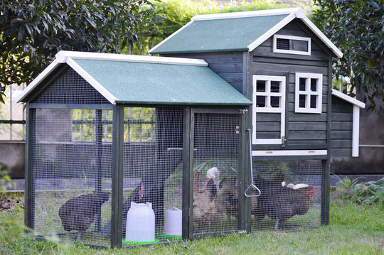 YES4PETS XL Chicken Coop with green roof and outdoor run for chickens, featuring two nesting boxes and roosting bars.