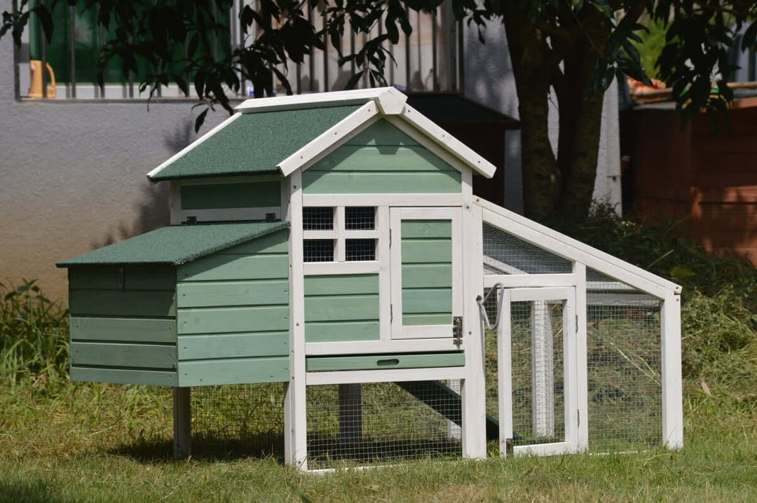 YES4PETS Green Small Chicken Coop with nesting box for 2 Chickens and Rabbit Hutch in outdoor setting.