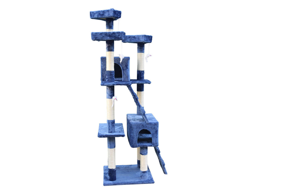 Affordable blue cat scratching post tree with multiple platforms, ladders, and two bed cubes for playful cats.