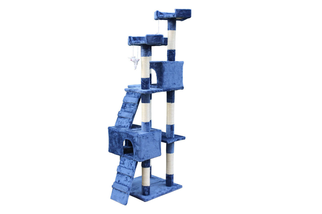 Affordable blue cat scratching post tree with ladders, cozy cubes, and platforms for climbing and scratching.