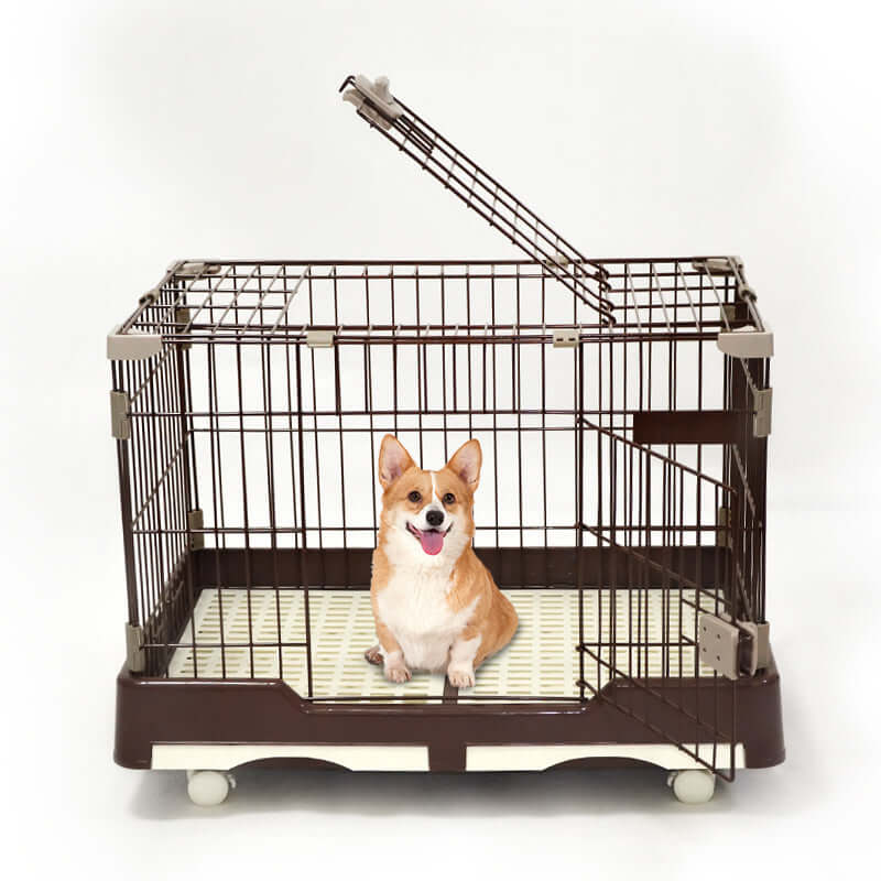 Large brown metal pet crate with a happy corgi inside, featuring a potty pad and convenient wheels for easy transport.