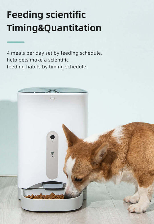 Smart automatic feeder for pets, setting feeding schedules for dogs, cats, and rabbits with quality and affordable design.