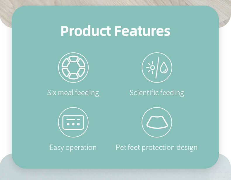 Infographic highlighting features of a pet feeder: six meal feeding, scientific feeding, easy operation, and pet feet protection.