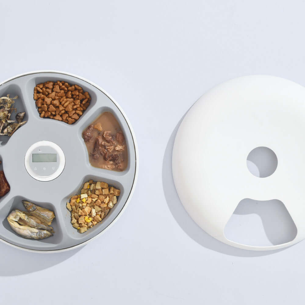 6 Meal Automatic Pet Feeder in white, featuring compartments for dog and cat food with a digital timer.