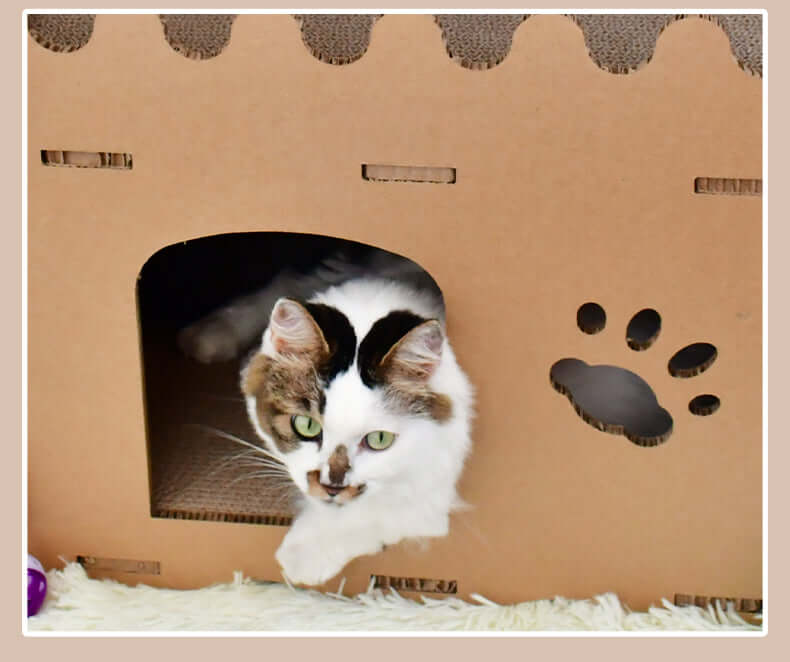 Cat peeking out from a cardboard house tower condo scratcher, designed for fun and relaxation, affordable DIY pet furniture.