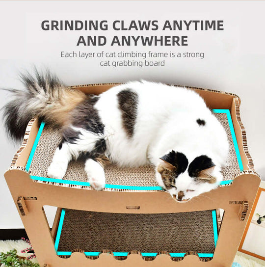 Cat lounging on double storey cardboard condo, ideal for scratching and climbing. Affordable and quality pet furniture.