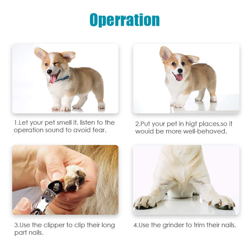 Step-by-step guide for using YES4PETS electric pet nail grinder with a happy corgi demonstration.