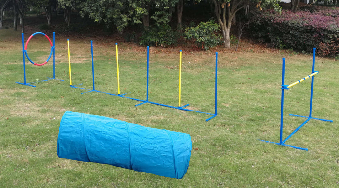 YES4PETS Portable Dog Training Agility Set with weave poles, jump tyre, and exercise tunnel in a park.