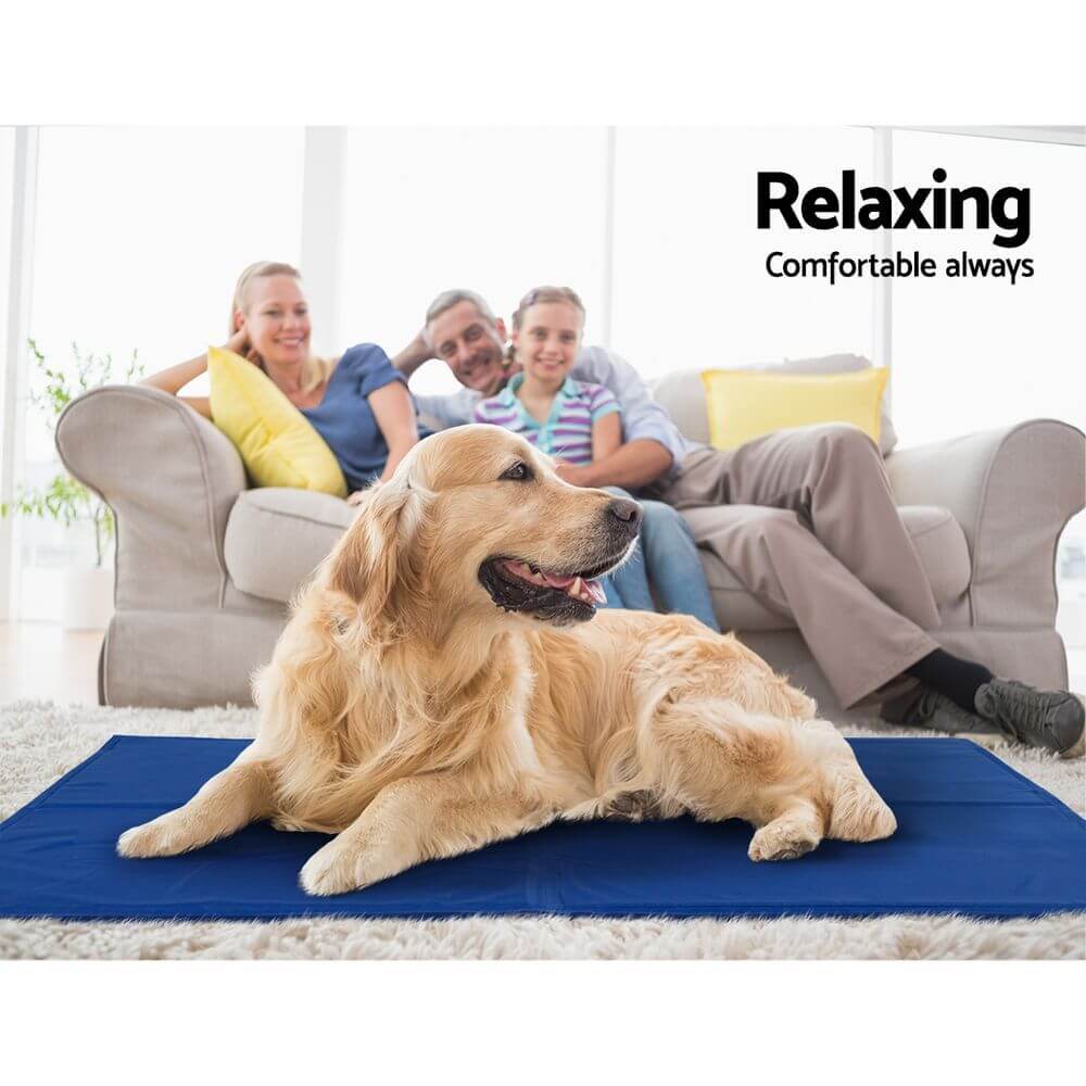 Golden retriever relaxing on a blue cooling mat while family enjoys comfort in the background, perfect for hot summer days.