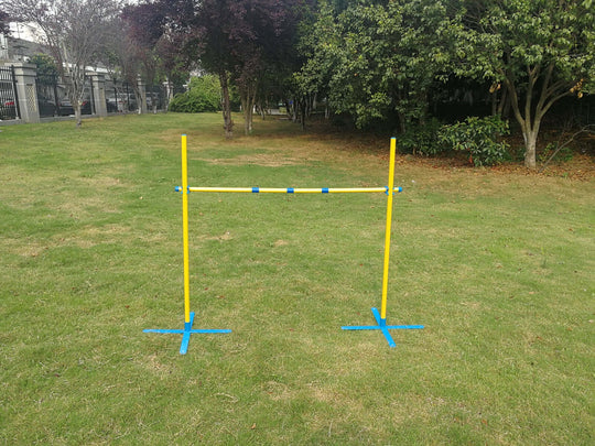 Portable yellow and blue dog agility jump bar for training in a grassy outdoor area. Affordable quality for DIY pet exercise.