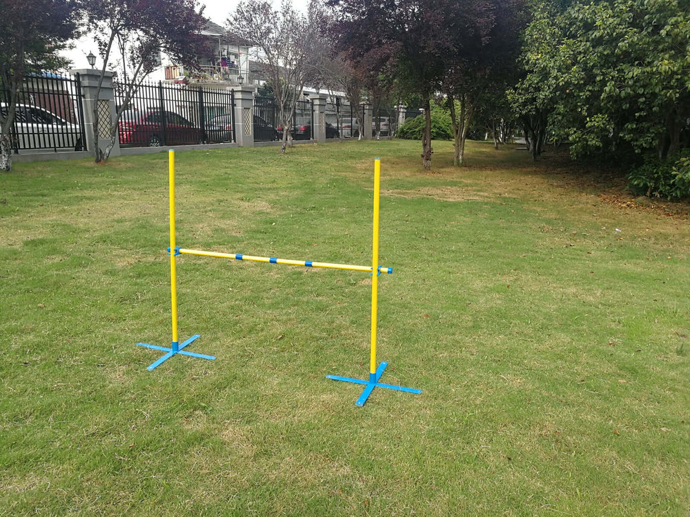 Portable dog agility jump post in a grassy park, ideal for affordable puppy training and DIY exercises.