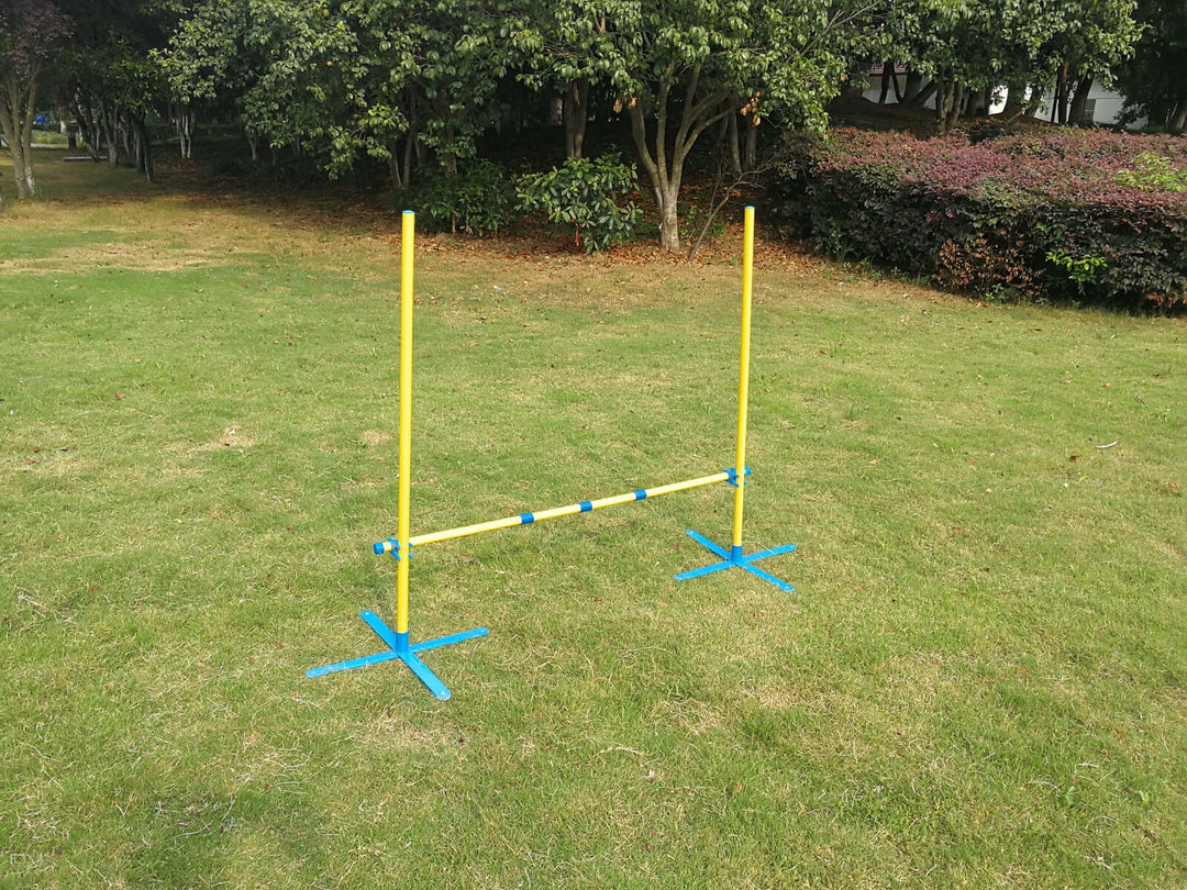 Portable dog agility jump post in a grassy park, perfect for affordable DIY training and exercise for pets.