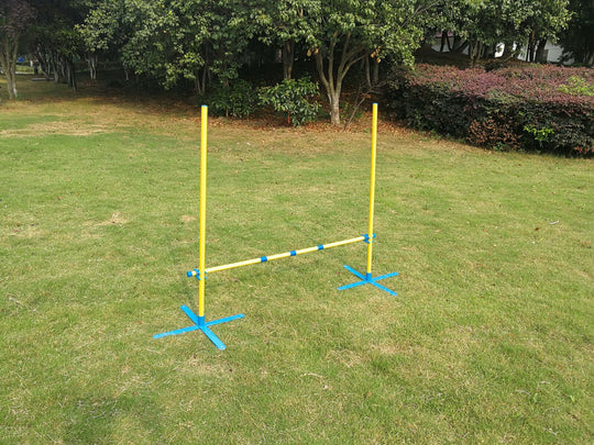 Portable dog agility jump post in a grassy park, perfect for affordable DIY training and exercise for pets.