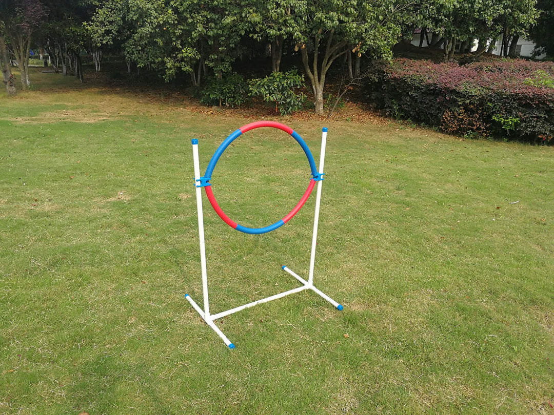 Affordable and adjustable dog training tyre jump for agility practice in a grassy field.